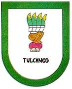 municipio - Tulcin_v