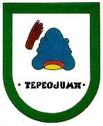 municipio - Tepeojum