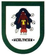 municipio - Nealtica