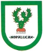municipio - Nopaluca