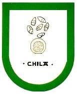 municipio - Chila_s