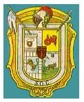 municipio - escTecali_h