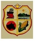 municipio - Chiaut_t