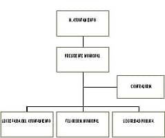 municipio - org21153