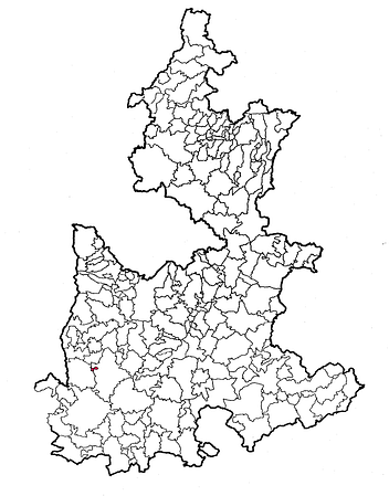 municipio - 021