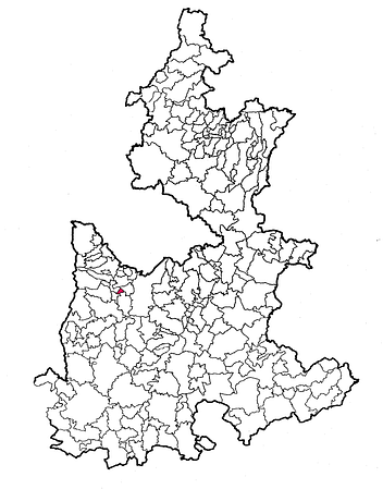 municipio - 125
