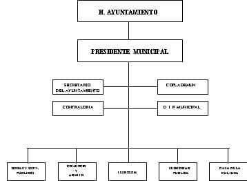 municipio - org21180