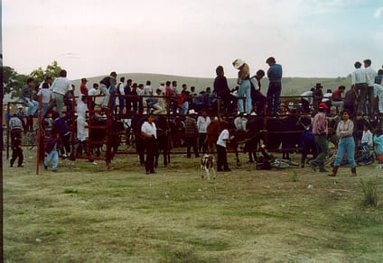 Jaripeo en la Feria Municipal de Ocoyucan, Pue.