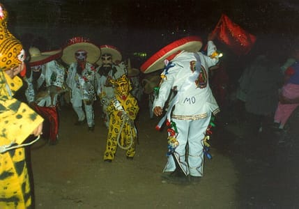 Danza Típica Tecuanis, Acatlán, Pue.