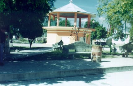 Parque Municipal de Chigmecatitlán, Pue