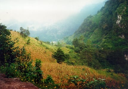 Vista Panoramica