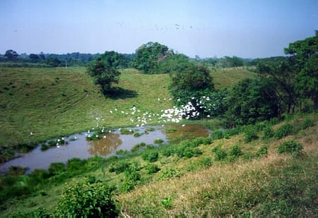 Localidad El Progreso Hueytamalco, Pue.