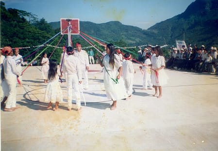 Baile Tradicional de Tlapacoya, Pue.