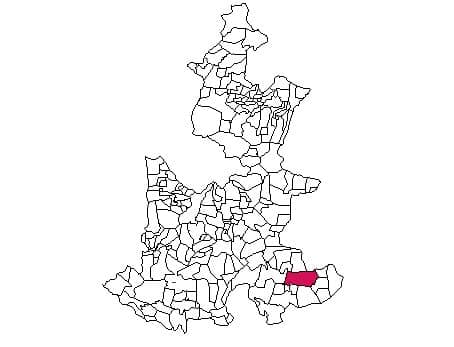 municipio - 010