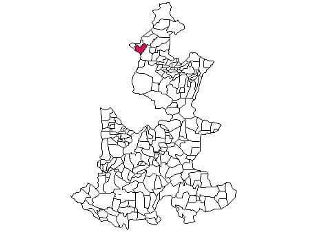 municipio - 100