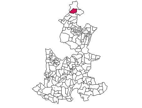municipio - 111