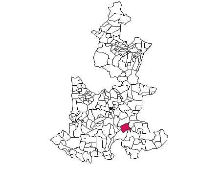 municipio - 161