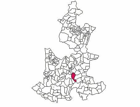 municipio - 169