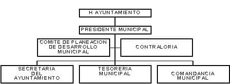 municipio - org21052