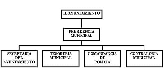 municipio - org21028