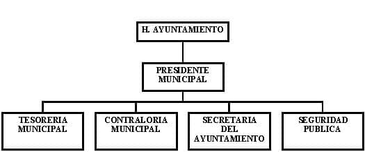 municipio - org21049