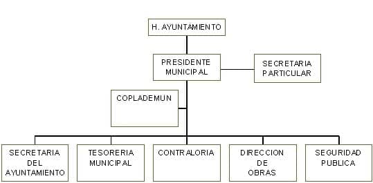 municipio - org21142