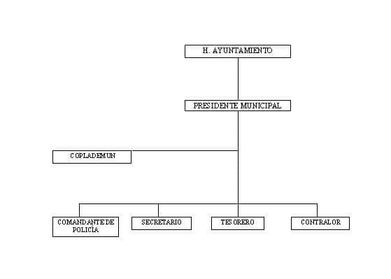 municipio - org21135
