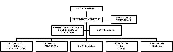 tiene - org21154