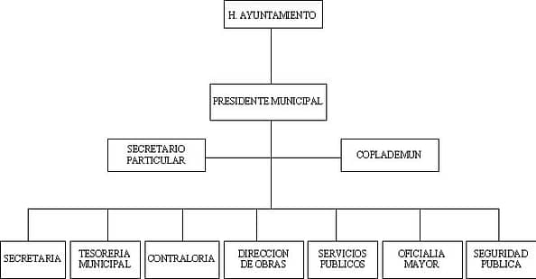 cuenta - org21207