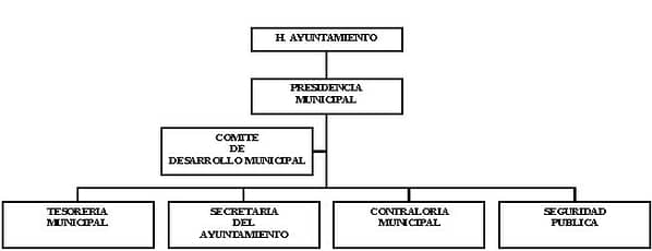 municipio - org21100