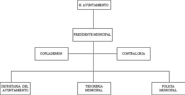 municipio - org21077